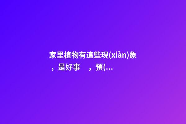 家里植物有這些現(xiàn)象，是好事，預(yù)示你家要發(fā)大財(cái)了！